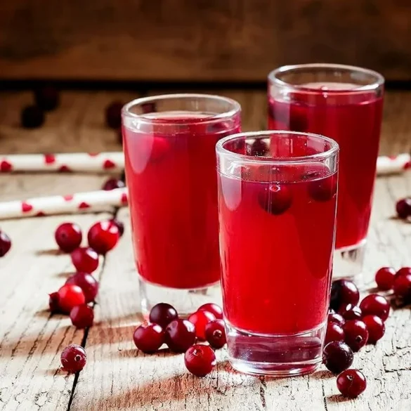 Winter Spiced Cranberry Sprite