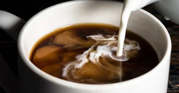 Nutpods Creamer