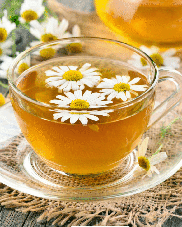 Copycat Teavana Chamomile Mint Blossom Recipe